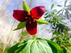 11148451_996820583671133_701845201807825361_n