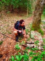 11167666_10202892669477724_8024278434909772018_n