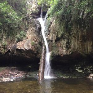 11692780_1040897042596820_8127119618070925915_n