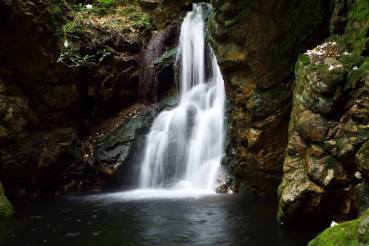 11703038_1040899509263240_4889274847857008236_n