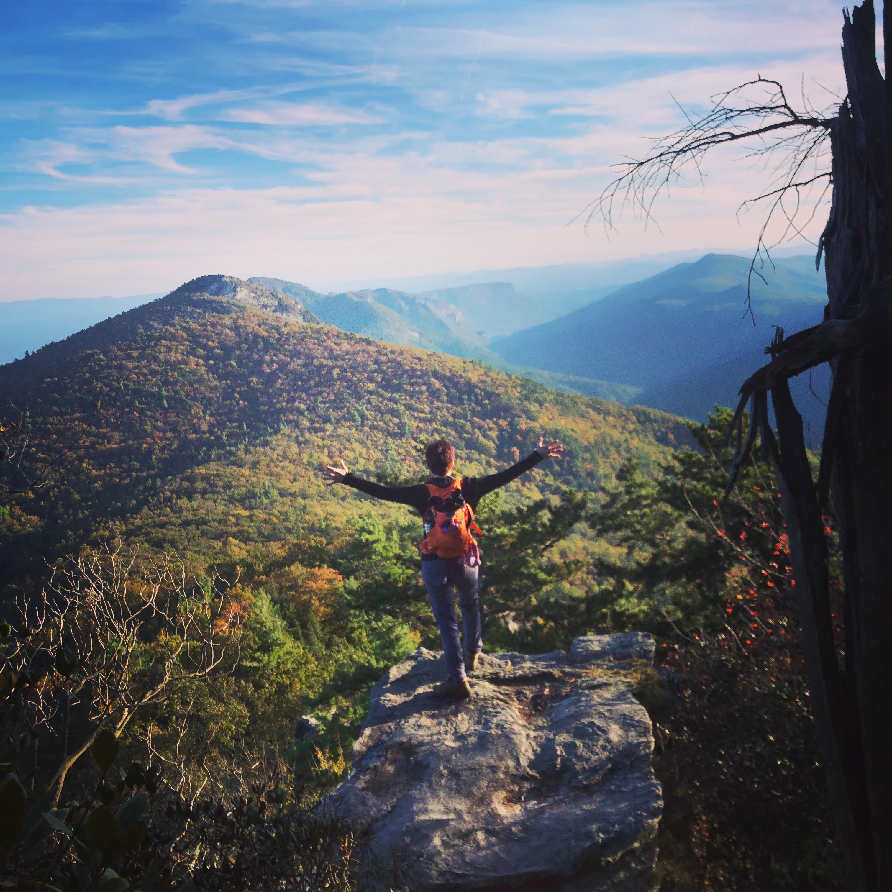 604A63D2-F859-42A7-98E0-654CF5550E1B